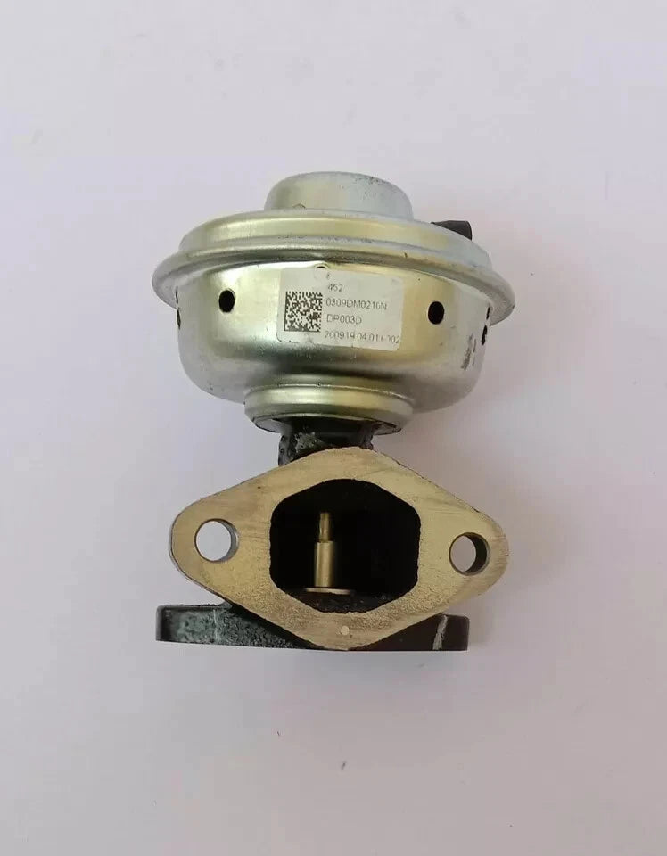 EGR valve 0309DM0210N For Mahindra Scorpio