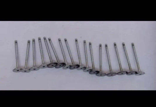 Genuine Valve Exhaust Valve Intake Set For Mahindra 0310DAM00060N 0310DAM00050N