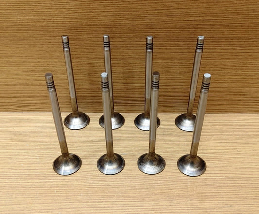 Intake & Exhaust Valve set Mahindra Roxor 2.5L