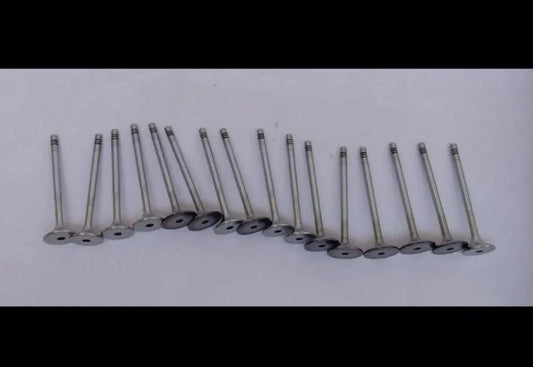 0310DM0040N 0310DM0030N Head Valve Set For Scorpio 2.2 Xuv 2.2 Xylo 2.2 Mhawk