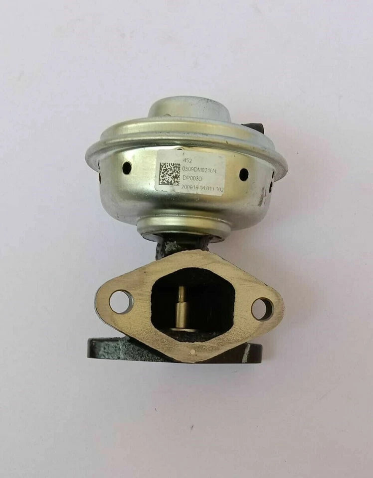 EGR valve 0309DM0210N For Mahindra